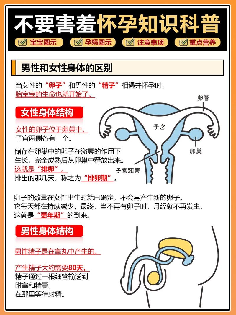  怀孕秘籍