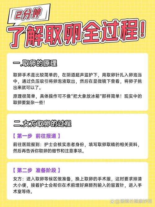 试管婴儿过程中几个卵泡才算理想？专家详细解析！