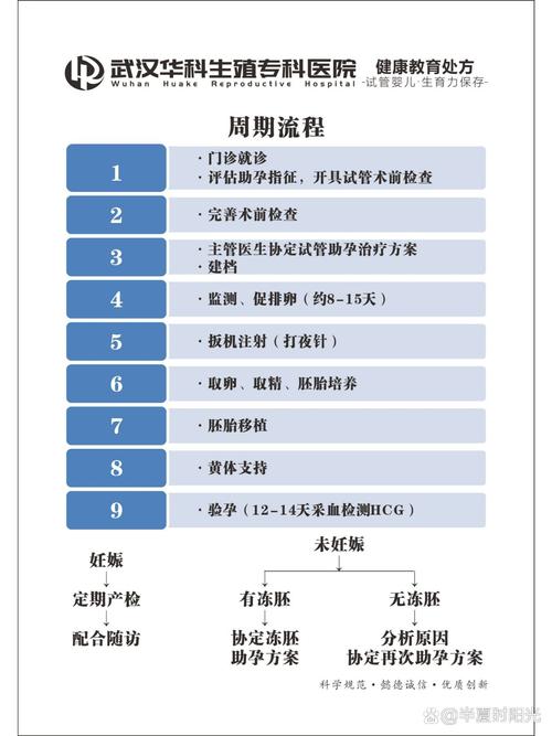 试管婴儿怀孕第几天需要做B超检查？详细指南