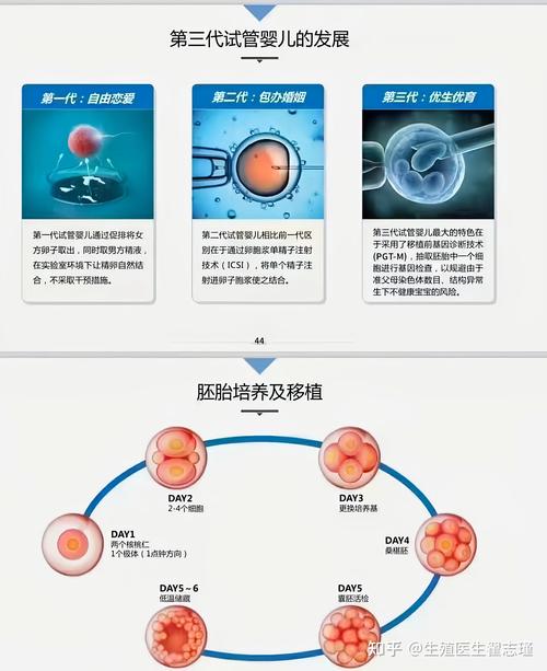 三代试管婴儿最佳植入时间解析：第几天植入最为合适？