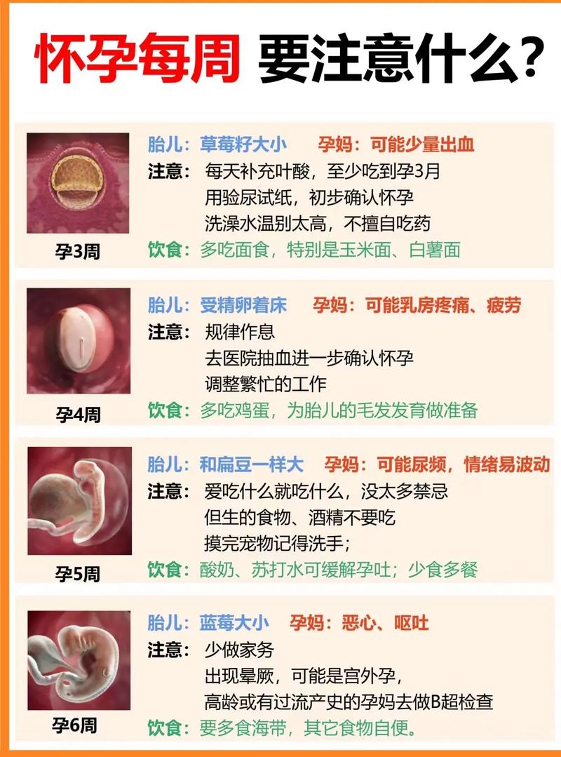 试管婴儿移植后几天进行尿检最科学？