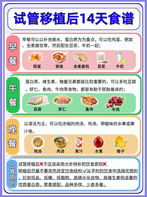 试管婴儿移植后饮食指南：能否吃粥？