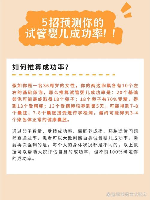 探索试管婴儿成功率：如何提高你的怀孕几率？