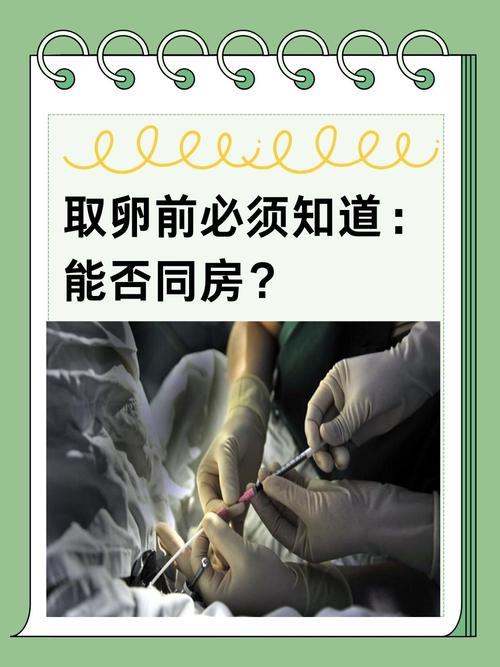 试管婴儿取卵前