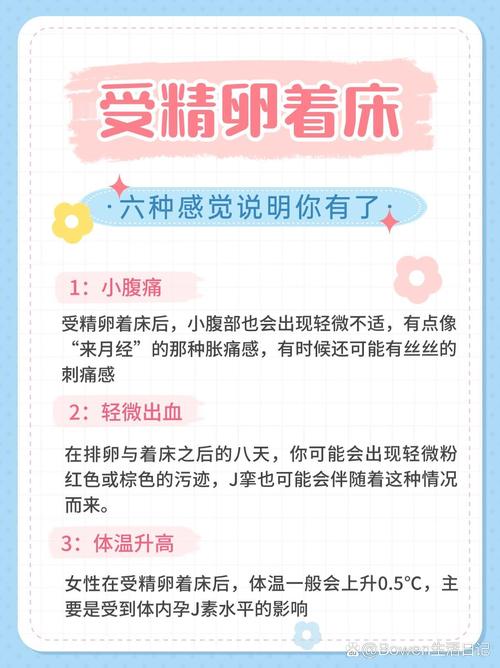 试管婴儿着床过程究竟会痛吗？详解体验与注意事项