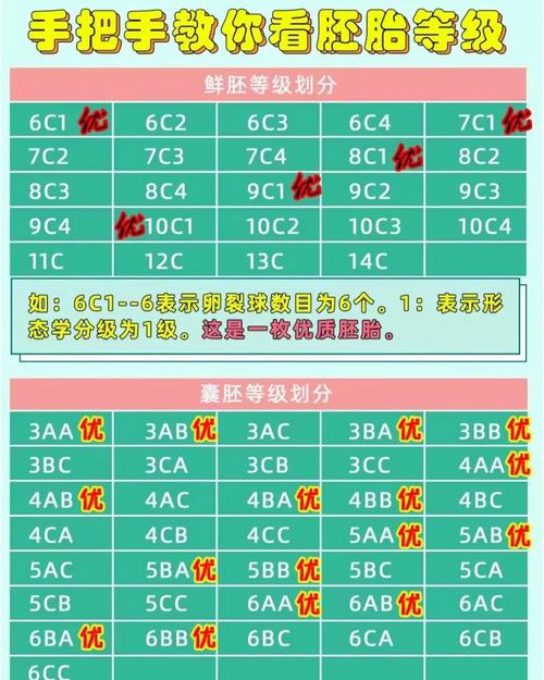 优质胚胎数量