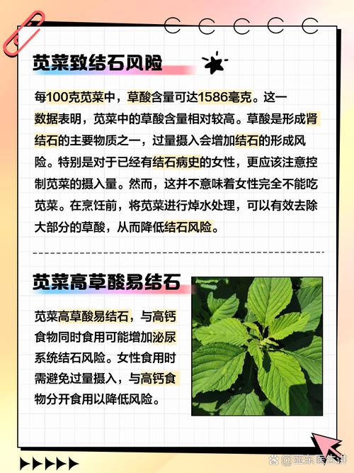 试管婴儿移植后可以吃苋菜吗？专家解答