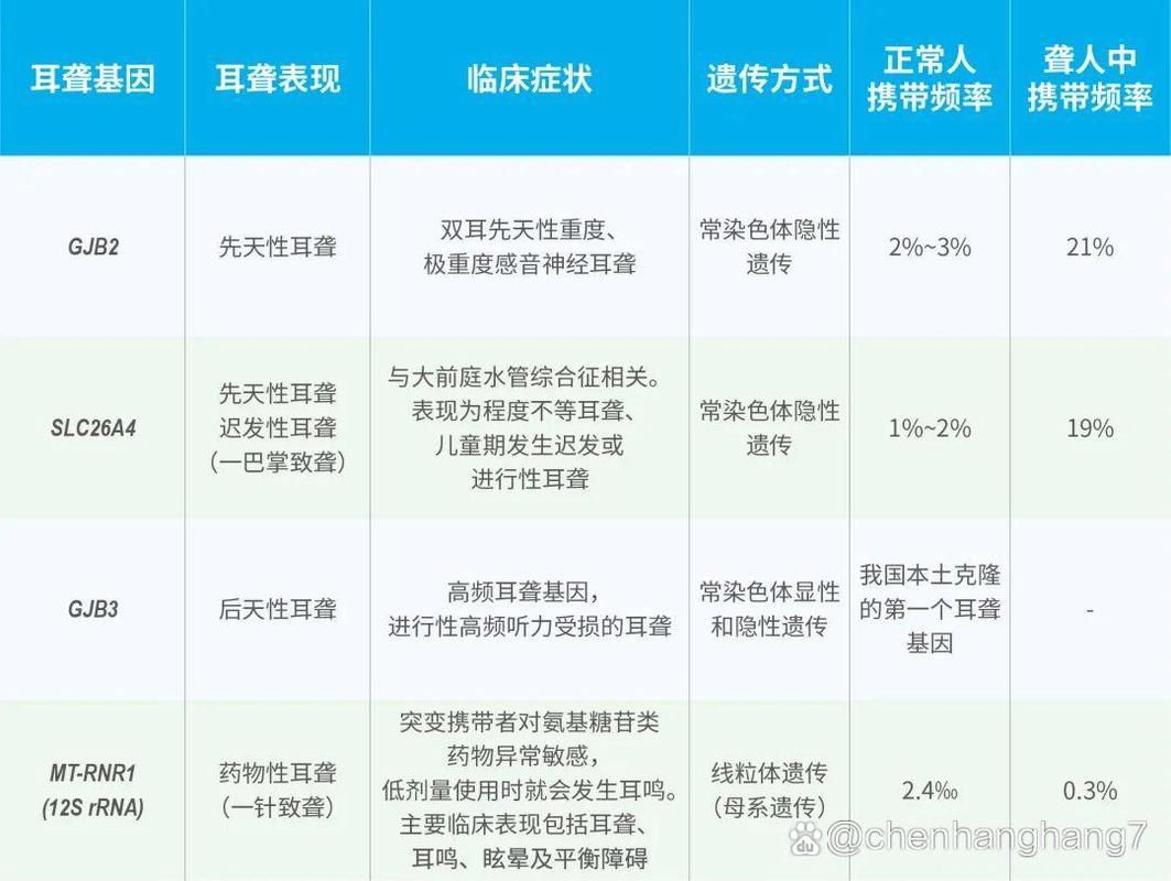 耳聋基因携带者