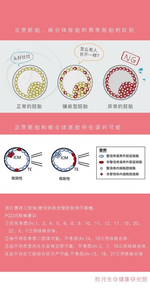 试管婴儿中的胚胎培养到底是什么？详解过程与意义