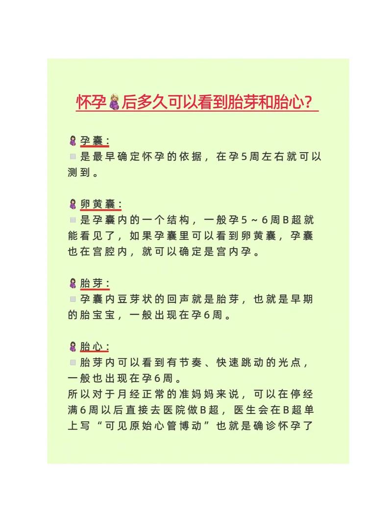 试管婴儿怀孕后多久能检测到胎心和胎芽？