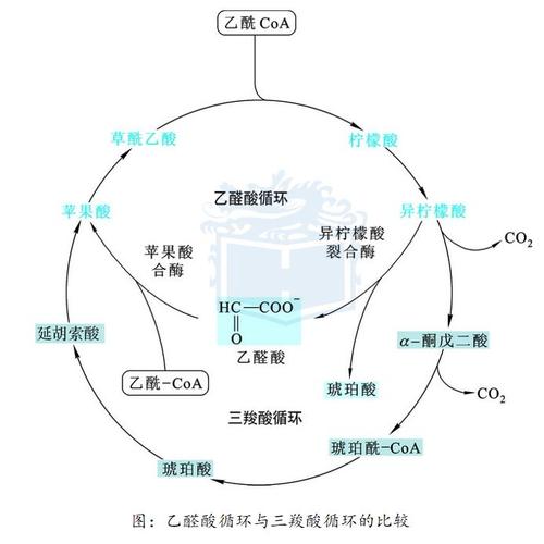  生化原理