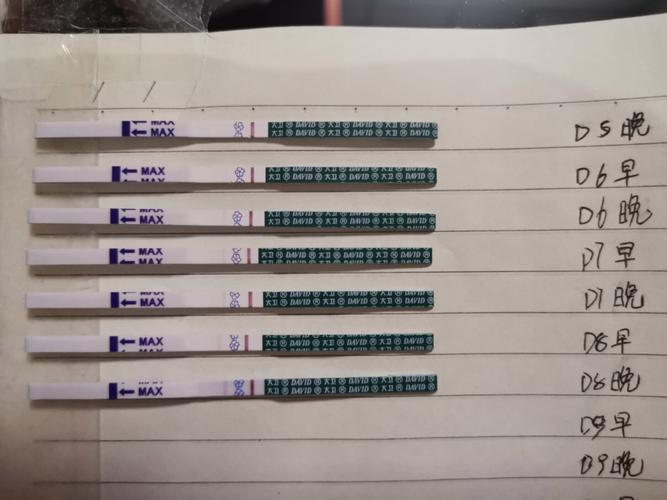 试管婴儿移植第8天感腰酸，是否正常？