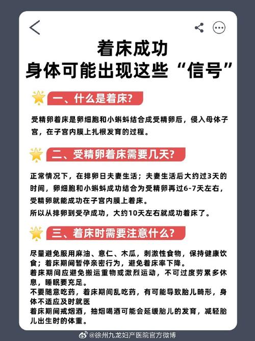 试管婴儿着床难吗？揭示成功着床的关键因素