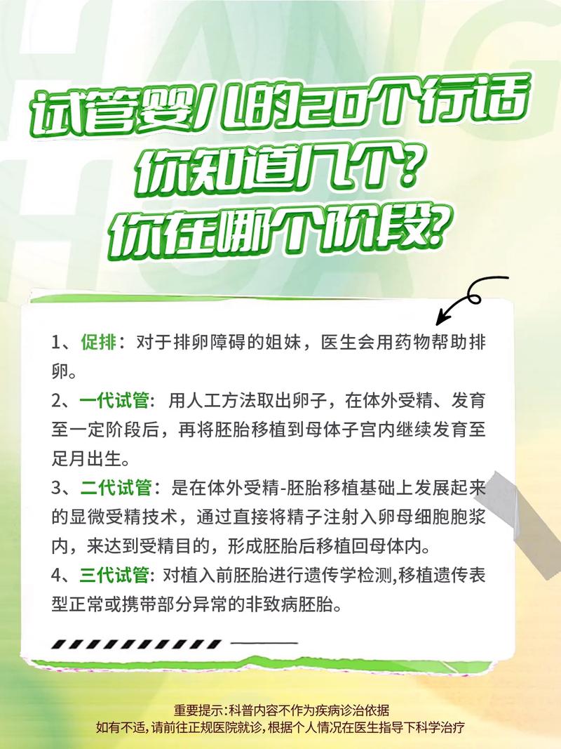 试管婴儿的过程：母体怀孕是必需条件吗？