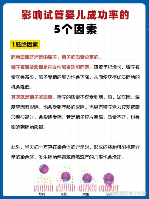 影响试管婴儿成功率的因素有哪些？