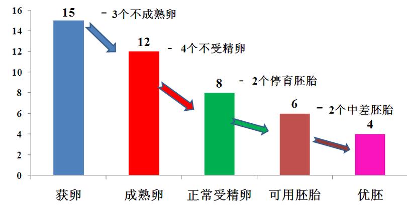  获卵数