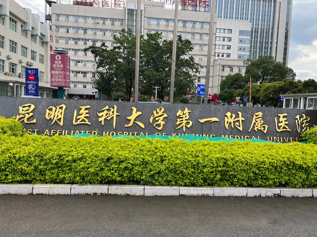  昆明医科大学第一附属医院