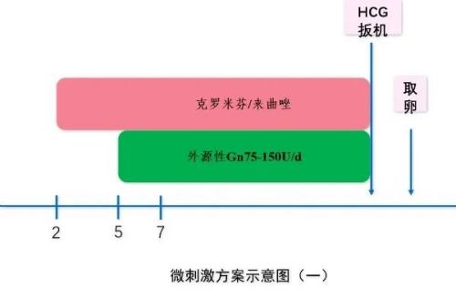  微刺激