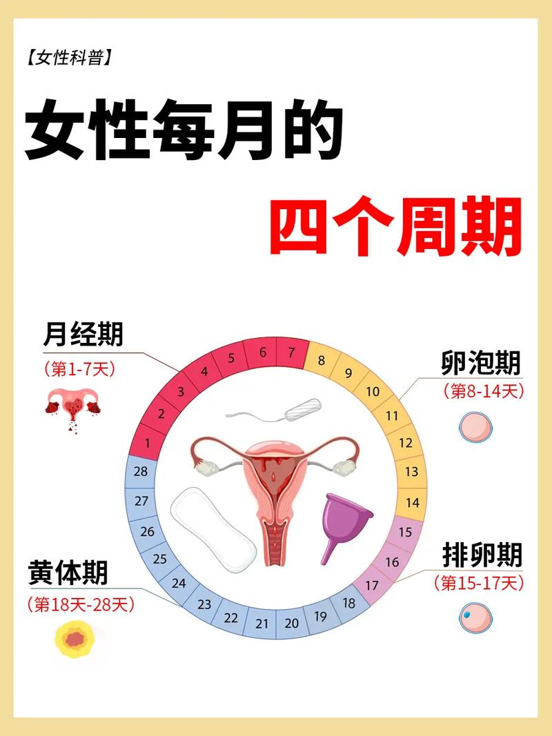 女性生理周期