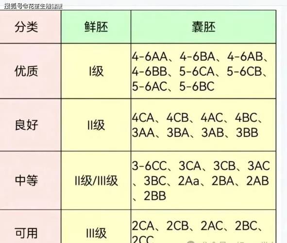 C 级胚胎
描述: 本文详细解析了试管婴儿胚胎级别 ABC 的区别，介绍了各级胚胎的特点、着床率等，阐述了其对成功率的影响及相关因素，帮助准爸妈更好了解胚胎分级知识，增添孕育信心 。